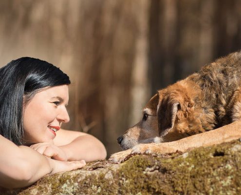 Hund und Mensch in der Hundeschule Steinenbronn
